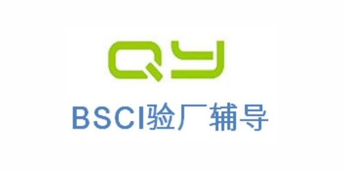 ICS驗(yàn)廠2021全面解讀與上海傾禹企業(yè)管理咨詢的專(zhuān)業(yè)服務(wù)推薦
